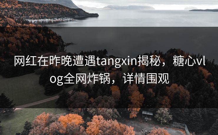 网红在昨晚遭遇tangxin揭秘，糖心vlog全网炸锅，详情围观
