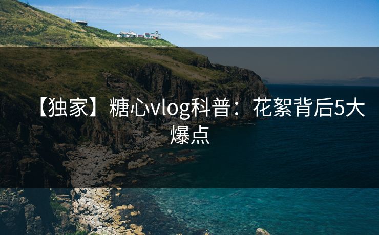 【独家】糖心vlog科普：花絮背后5大爆点